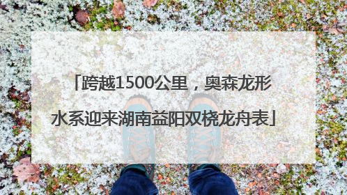 跨越1500公里，奥森龙形水系迎来湖南益阳双桡龙舟表