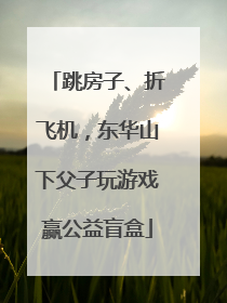 跳房子、折飞机，东华山下父子玩游戏赢公益盲盒