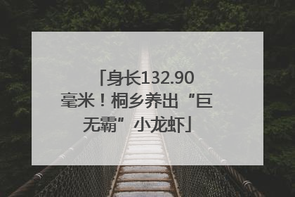 身长132.90毫米！桐乡养出“巨无霸”小龙虾