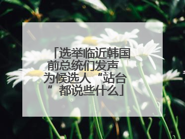 选举临近韩国前总统们发声 为候选人“站台”都说些什么