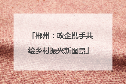 郴州：政企携手共绘乡村振兴新图景