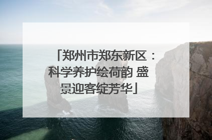 郑州市郑东新区：科学养护绘荷韵 盛景迎客绽芳华