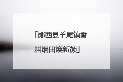 郧西县羊尾镇香料烟田焕新颜