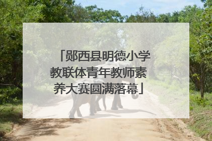郧西县明德小学教联体青年教师素养大赛圆满落幕
