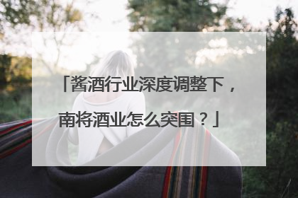 酱酒行业深度调整下，南将酒业怎么突围？