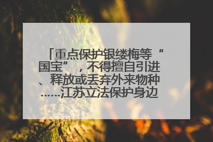 重点保护银缕梅等“国宝”，不得擅自引进、释放或丢弃外来物种……江苏立法保护身边的生物“朋友圈”
