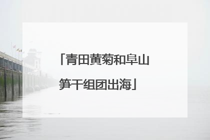 青田黄菊和阜山笋干组团出海