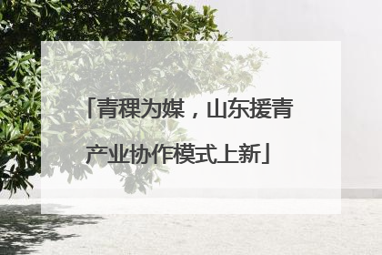 青稞为媒，山东援青产业协作模式上新