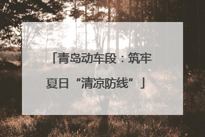 青岛动车段：筑牢夏日“清凉防线”