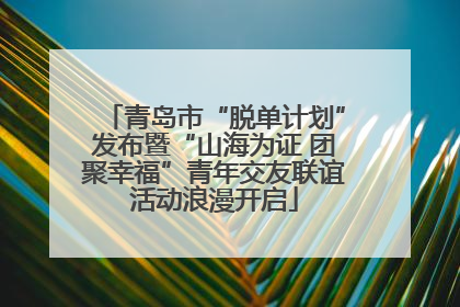 青岛市“脱单计划”发布暨“山海为证 团聚幸福”青年交友联谊活动浪漫开启
