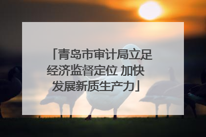 青岛市审计局立足经济监督定位 加快发展新质生产力