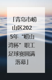 青岛市崂山区2025年“崂山湾杯”职工足球赛圆满落幕