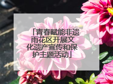 青春赋能非遗 雨花区开展文化遗产宣传和保护主题活动