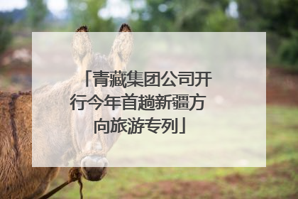 青藏集团公司开行今年首趟新疆方向旅游专列