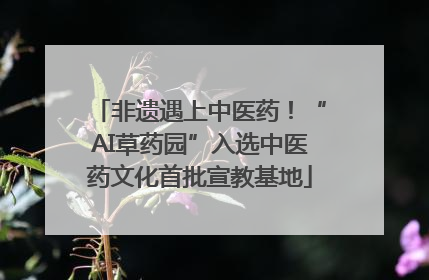 非遗遇上中医药！“AI草药园”入选中医药文化首批宣教基地