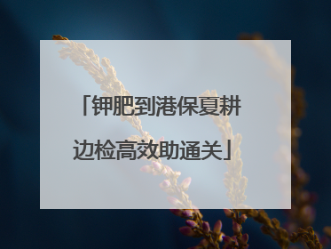 钾肥到港保夏耕 边检高效助通关