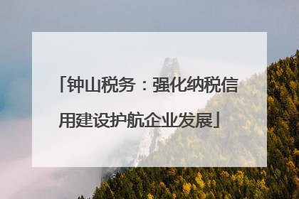 钟山税务：强化纳税信用建设护航企业发展