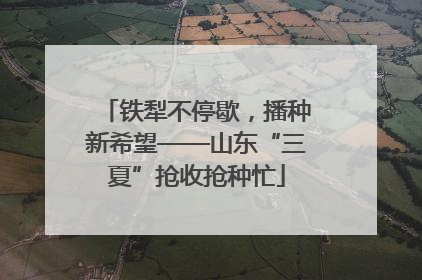 铁犁不停歇，播种新希望——山东“三夏”抢收抢种忙