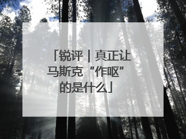 锐评｜真正让马斯克“作呕”的是什么