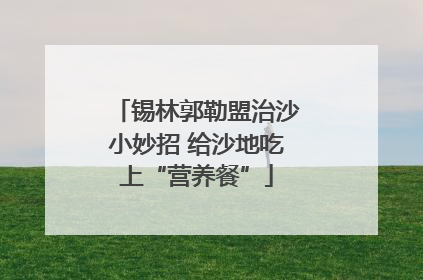 锡林郭勒盟治沙小妙招 给沙地吃上“营养餐”