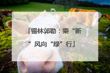 锡林郭勒：乘“新”风向“绿”行