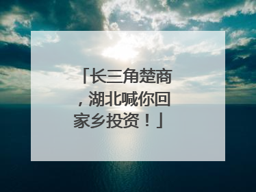 长三角楚商，湖北喊你回家乡投资！