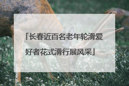 长春近百名老年轮滑爱好者花式滑行展风采