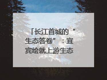 长江首城的“生态答卷”：宜宾绘就上游生态屏障新图景｜中华环保世纪行