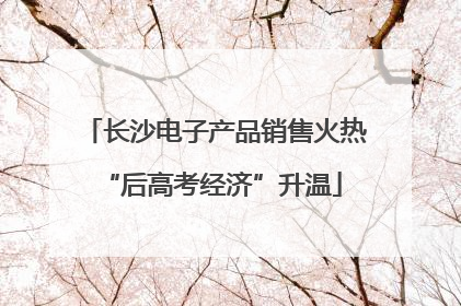 长沙电子产品销售火热 “后高考经济”升温