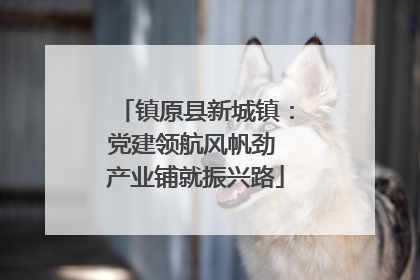 镇原县新城镇：党建领航风帆劲 产业铺就振兴路