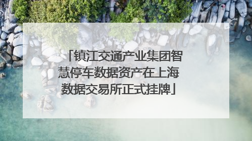 镇江交通产业集团智慧停车数据资产在上海数据交易所正式挂牌