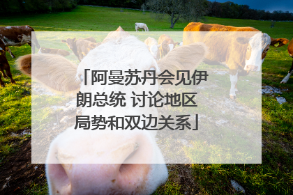 阿曼苏丹会见伊朗总统 讨论地区局势和双边关系
