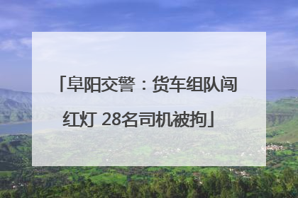 阜阳交警：货车组队闯红灯 28名司机被拘