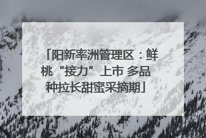 阳新率洲管理区：鲜桃“接力”上市 多品种拉长甜蜜采摘期