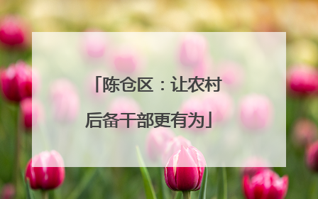 陈仓区：让农村后备干部更有为