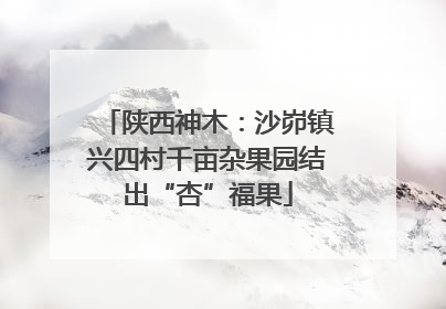陕西神木：沙峁镇兴四村千亩杂果园结出“杏”福果
