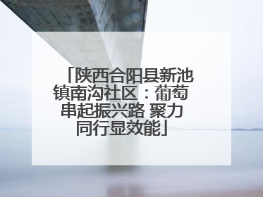 陕西合阳县新池镇南沟社区：葡萄串起振兴路 聚力同行显效能