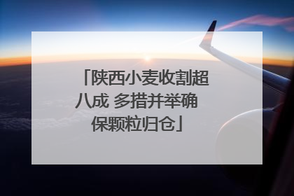 陕西小麦收割超八成 多措并举确保颗粒归仓