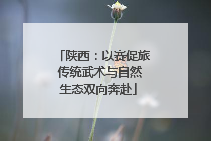 陕西：以赛促旅 传统武术与自然生态双向奔赴