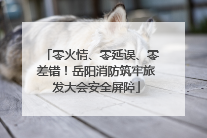 零火情、零延误、零差错！岳阳消防筑牢旅发大会安全屏障