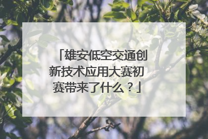 雄安低空交通创新技术应用大赛初赛带来了什么？