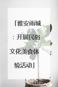 雅安雨城：开展民俗文化美食体验活动