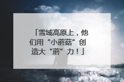 雪域高原上，他们用“小蘑菇”创造大“蘑”力！