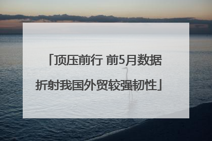 顶压前行 前5月数据折射我国外贸较强韧性