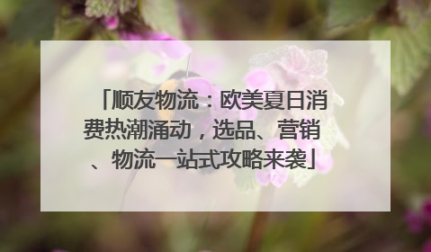 顺友物流：欧美夏日消费热潮涌动，选品、营销、物流一站式攻略来袭