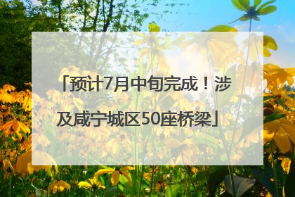 预计7月中旬完成！涉及咸宁城区50座桥梁