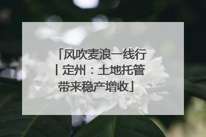 风吹麦浪一线行丨定州：土地托管带来稳产增收