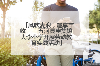 风吹麦浪，趣享丰收——五河县申集镇大李小学开展劳动教育实践活动