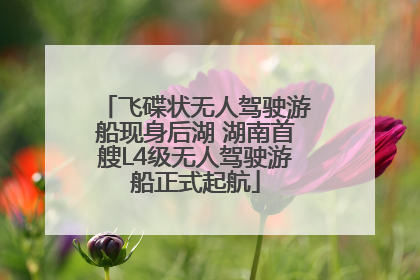 飞碟状无人驾驶游船现身后湖 湖南首艘L4级无人驾驶游船正式起航