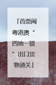 首票闽粤港澳“四地一锁”出口货物通关